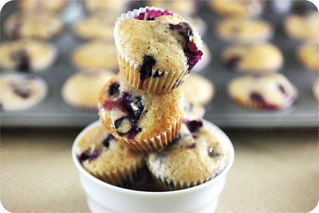 Jordan Marsh Blueberry Muffins with Lemon Glaze {mind-over-batter.com}